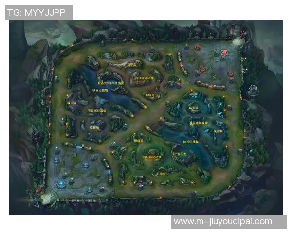 2026电竞新闻周芳深度解析英雄联盟游戏技巧与心得分享助你提升实力